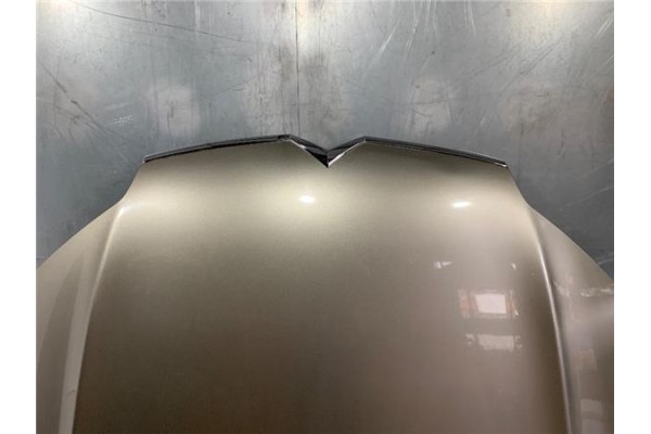 Recambio de capo para citroen c5 berlina 2.0 audace referencia OEM IAM 7901P3  