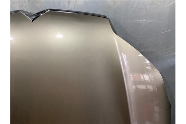 Recambio de capo para citroen c5 berlina 2.0 audace referencia OEM IAM 7901P3  