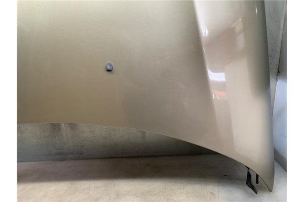 Recambio de capo para citroen c5 berlina 2.0 audace referencia OEM IAM 7901P3  