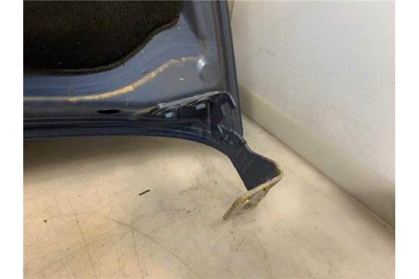 Recambio de capo para renault trafic ii furgón (fl) 2.5 dti referencia OEM IAM 651005147R  