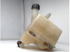 BOTELLA EXPANSION 8200447047 