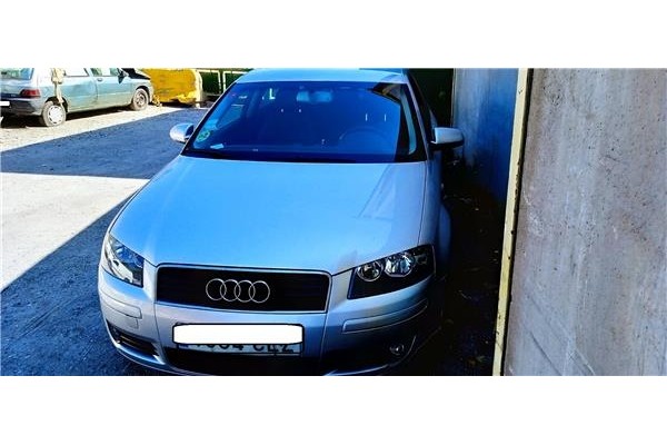 AUDI A3 (8P1)