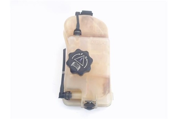 Recambio de botella expansion para citroen xsara picasso 2.0 hdi referencia OEM IAM 9646902580  
