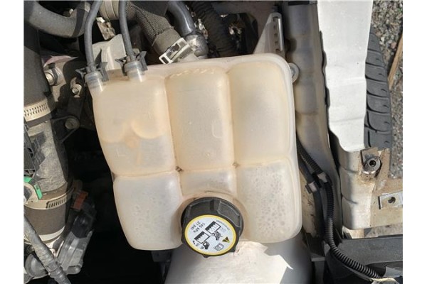 Recambio de botella expansion para ford focus berlina (cew) 1.0 business referencia OEM IAM 1717053  