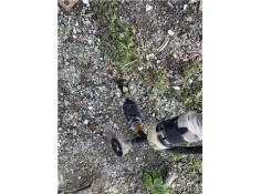 Recambio de palanca de cambio para ford fiesta vi 1.6 tdci referencia OEM IAM 1742233 1755158 