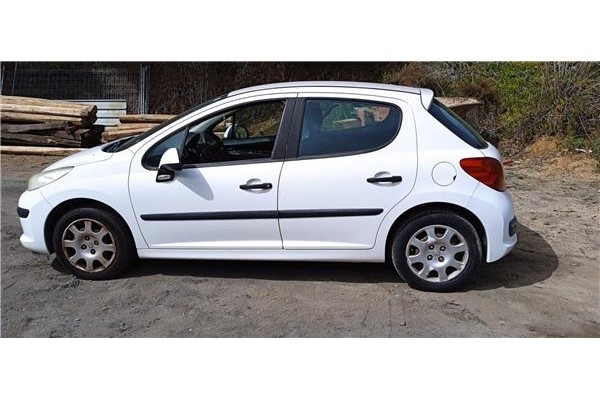 peugeot 207 del año 2008