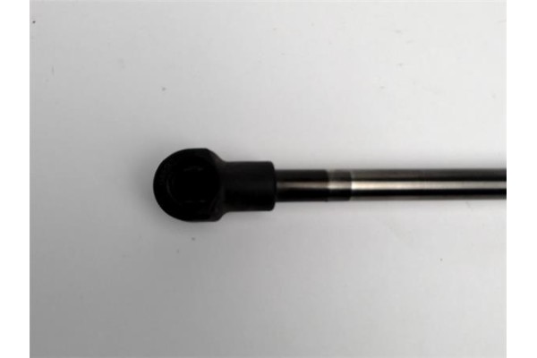 Recambio de amortiguador porton trasero derecho para toyota corolla (e12) 2.0 d-4d referencia OEM IAM 6895002041  