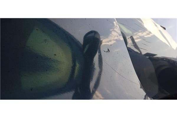 Recambio de puerta delantero izquierda para seat altea (5p1) 1.9 tdi referencia OEM IAM 5P0831055  