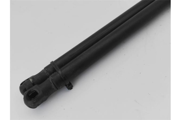 Recambio de amortiguador porton para ford fusion (cbk) 1.4 tdci referencia OEM IAM 1436155  