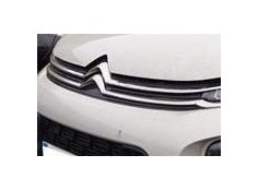 REJILLA CAPO YQ000568XT 
