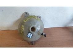 BOTELLA EXPANSION 46797121 