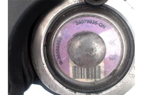 Recambio de bomba servodireccion para peugeot 206 1.4 i referencia OEM IAM 4007XE  