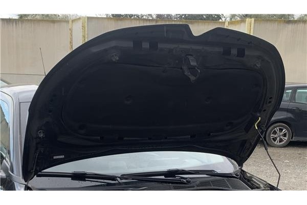 Recambio de capo para citroen c4 cactus 1.5 business class referencia OEM IAM 9803651380  