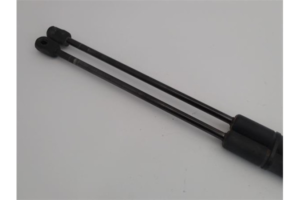 Recambio de amortiguador porton para bmw serie 3 touring (e91) 320d referencia OEM IAM   