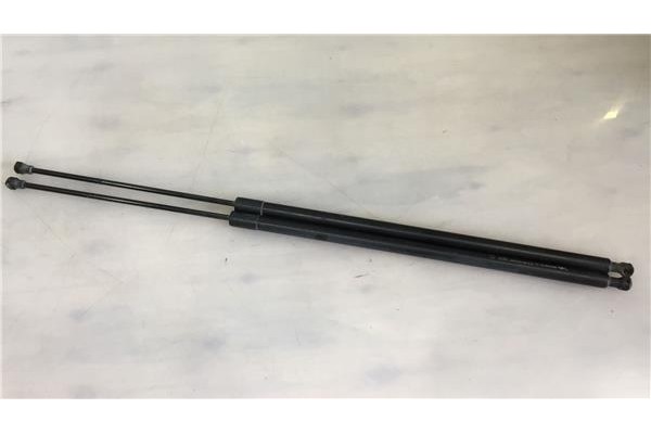 Recambio de amortiguador porton para renault kangoo ii (f/kw0) 1.5 dci (kw0c, kw0f) referencia OEM IAM 8200497806  4134633 , FOR