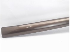 Recambio de moldura marco puerta delantero izquierda para renault scenic iii (jz) 1.5 emotion referencia OEM IAM 20090903 401272