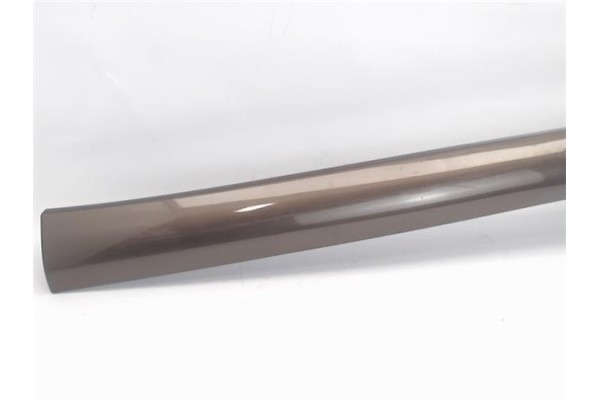 Recambio de moldura marco puerta delantero izquierda para renault scenic iii (jz) 1.5 emotion referencia OEM IAM 20090903 401272