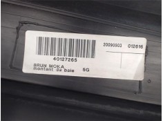 Recambio de moldura marco puerta delantero izquierda para renault scenic iii (jz) 1.5 emotion referencia OEM IAM 20090903 401272