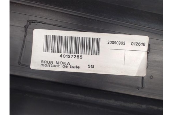 Recambio de moldura marco puerta delantero izquierda para renault scenic iii (jz) 1.5 emotion referencia OEM IAM 20090903 401272