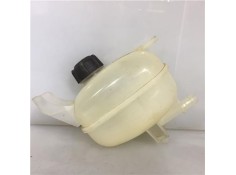 BOTELLA EXPANSION 217105FA0A 