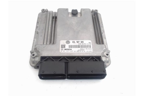 Recambio de centralita para volkswagen passat berlina (3c2) 2.0 tdi 16v referencia OEM IAM 03L907309 0281015029 