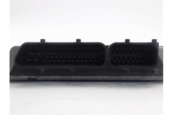 Recambio de centralita para volkswagen golf iv berlina (1j1) 1.6 soul referencia OEM IAM (06A906019) (5WP400008) 