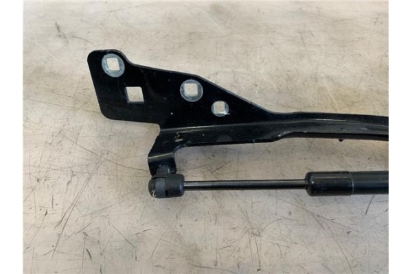 Recambio de bisagra capo derecha para renault scenic iii (jz) 1.2 grand expression referencia OEM IAM 654006104R  