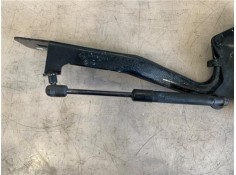 Recambio de bisagra capo izquierda para renault scenic iii (jz) 1.2 grand expression referencia OEM IAM 654012134R  