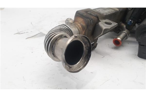 Recambio de enfriador gases egr para renault grand scénic ii (jm0/1_) 1.9 dci (jm12, jm0g) referencia OEM IAM 50006604  
