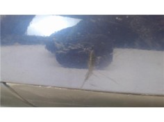 Recambio de retrovisor electrico izquierdo para peugeot 307 berlina (s2) referencia OEM IAM 96347726  