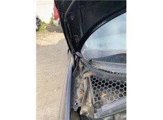 BISAGRA CAPO DERECHA 791298 