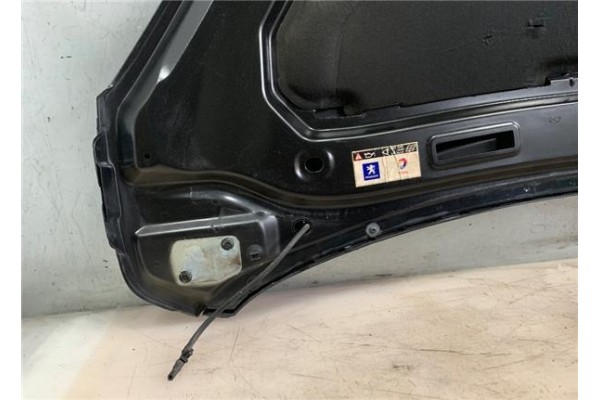 Recambio de capo para peugeot 1007 1.4 sport referencia OEM IAM   