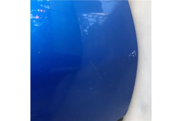 Recambio de puerta trasero izquierda para peugeot 206 sw 1.6 hdi 110 referencia OEM IAM 9006F4  