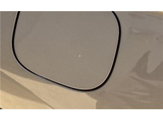 TAPON COMBUSTIBLE 1711A079 