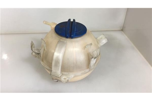 Recambio de botella expansion para volkswagen passat berlina (3c2) 2.0 tdi 16v referencia OEM IAM 1K0121407A  