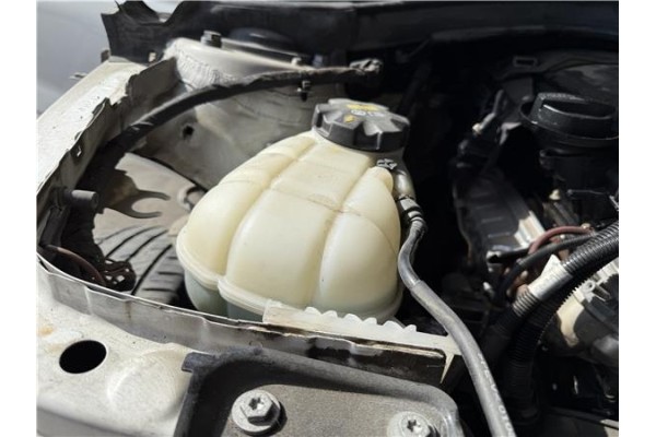 Recambio de botella expansion para bmw serie 1 berlina 5p (f20) 2.0 116d referencia OEM IAM 17137642160  