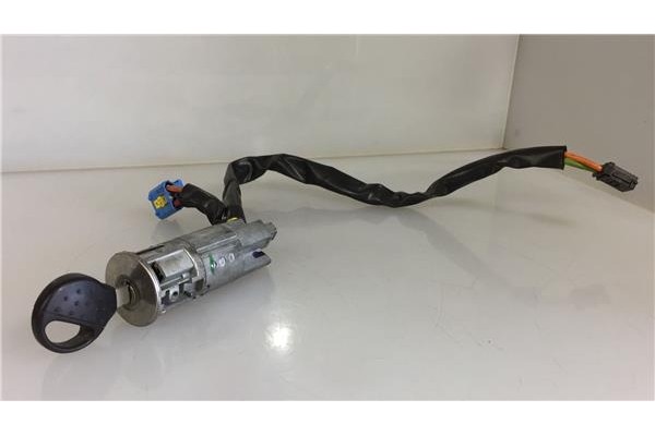Recambio de clausor para peugeot 206 sw 1.6 hdi 110 referencia OEM IAM N0501539  