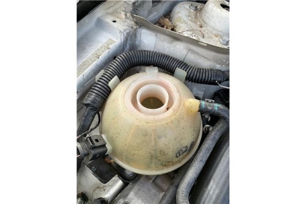 Recambio de botella expansion para seat altea (5p1) 1.9 tdi referencia OEM IAM 1K0121407A  