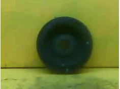 Recambio de polea cigueñal para citroen xsara berlina 1.9 td referencia OEM IAM 515H1  