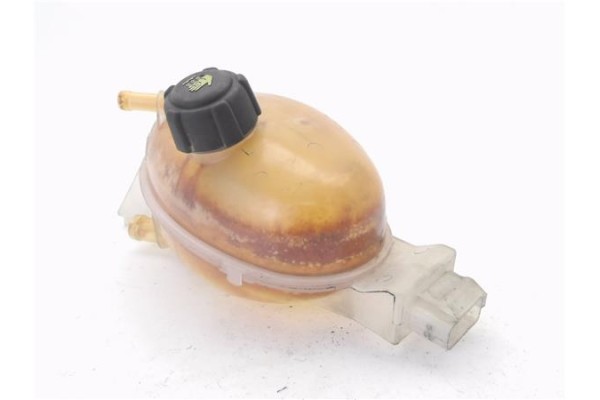 Recambio de botella expansion para renault master iii combi 2.3 l1h1 3,0t referencia OEM IAM 217100015R  