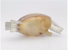 Recambio de botella expansion para renault master iii combi 2.3 l1h1 3,0t referencia OEM IAM 217100015R  