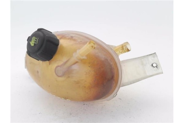 Recambio de botella expansion para renault master iii combi 2.3 l1h1 3,0t referencia OEM IAM 217100015R  