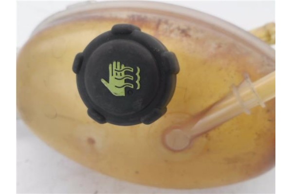 Recambio de botella expansion para renault master iii combi 2.3 l1h1 3,0t referencia OEM IAM 217100015R  
