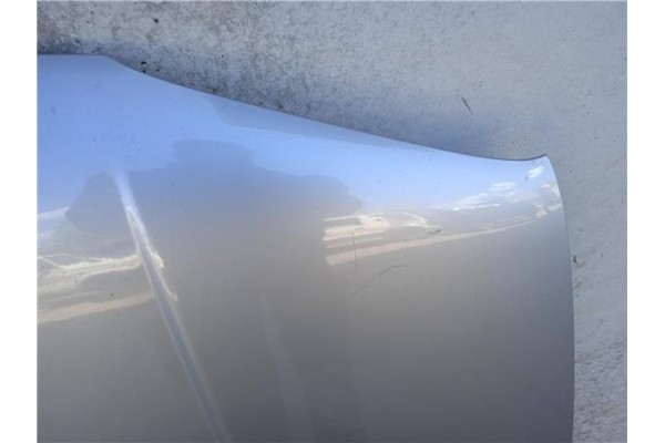 Recambio de capo para volkswagen golf iv berlina (1j1) 1.9 tdi referencia OEM IAM   