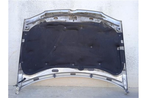 Recambio de capo para volkswagen golf iv berlina (1j1) 1.9 tdi referencia OEM IAM   