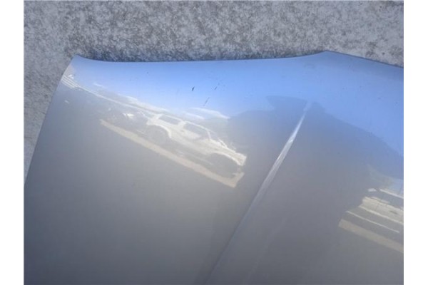 Recambio de capo para volkswagen golf iv berlina (1j1) 1.9 tdi referencia OEM IAM   