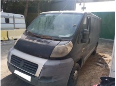 fiat ducato furgón (250) del año 2008