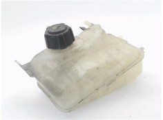 BOTELLA EXPANSION 217100005R 