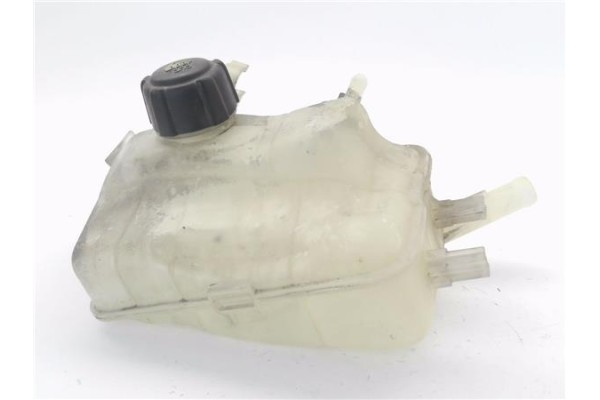 Recambio de botella expansion para renault scenic iii (jz) 1.5 grand expression referencia OEM IAM 217100005R  