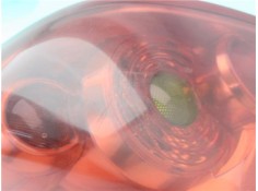 Recambio de piloto trasero izquierdo para nissan primera berlina (p12) 1.9 dci referencia OEM IAM 26555AU210  